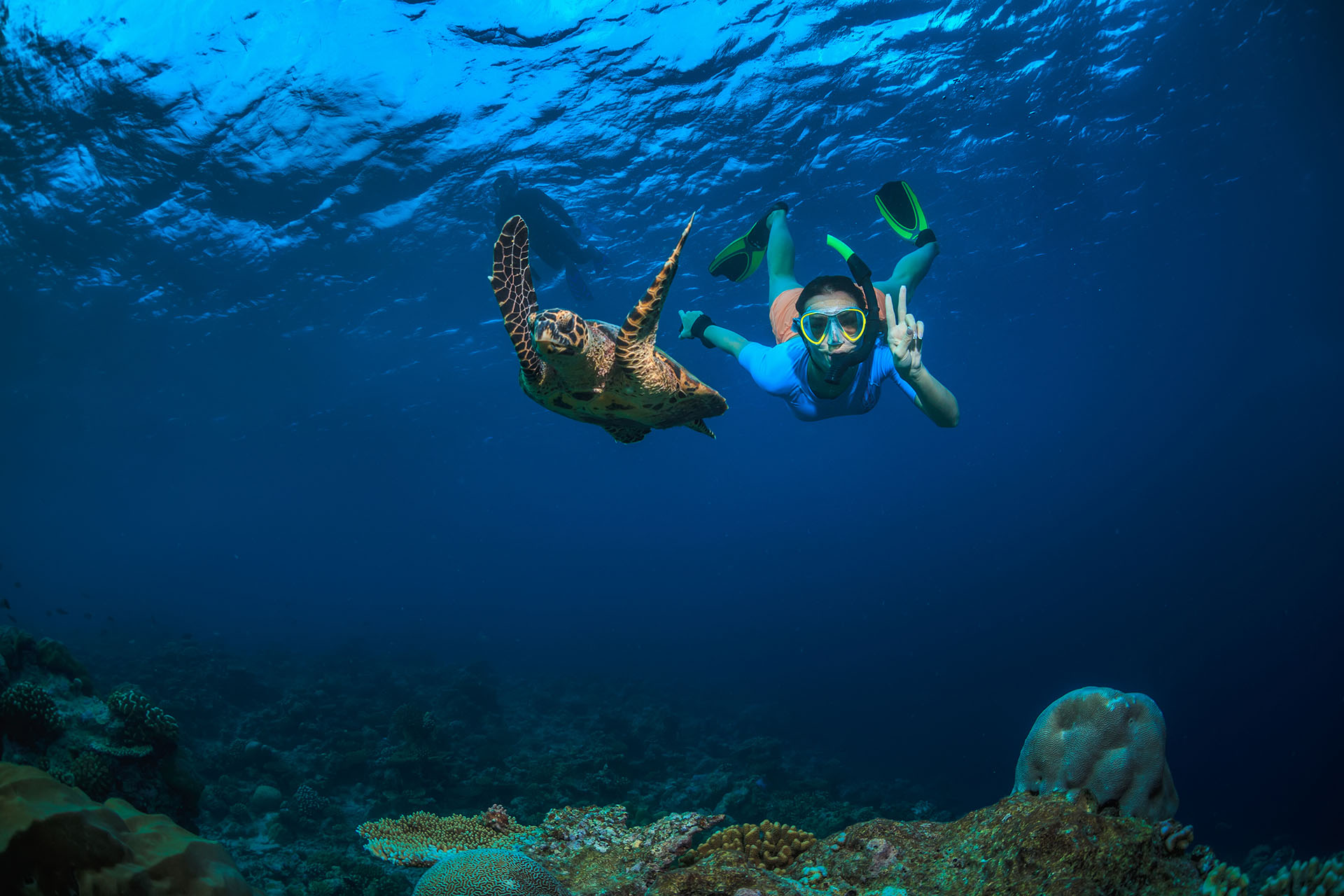 snorkeling and sailing tour